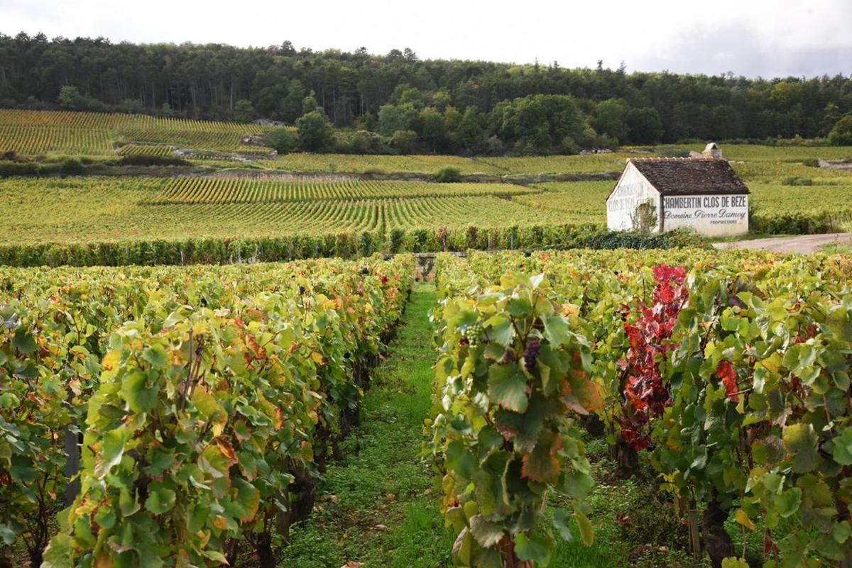 Le Richebourg - Charmant T2 Cosy, Tout Confort Gevrey-Chambertin Exteriér fotografie