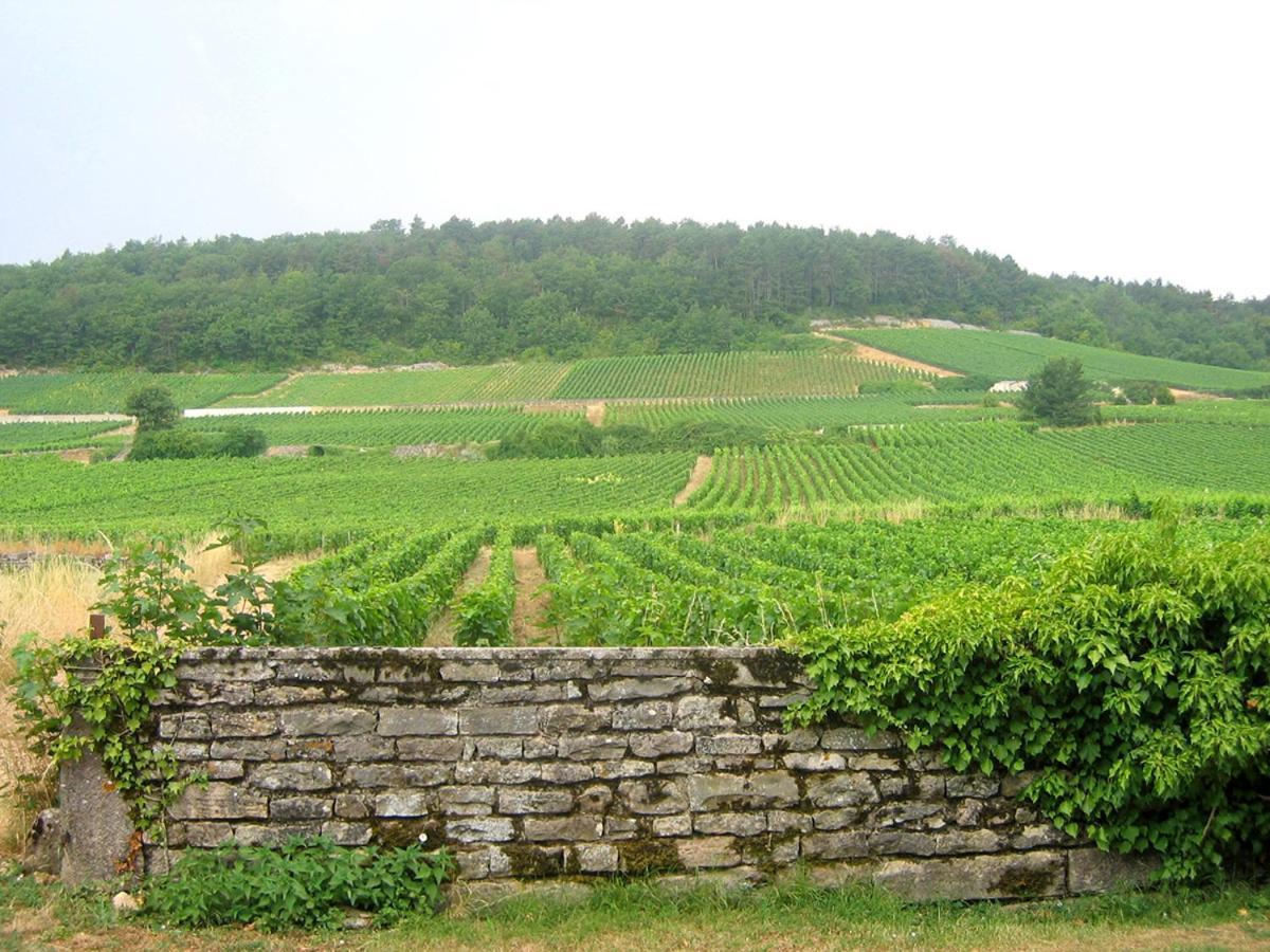 Le Richebourg - Charmant T2 Cosy, Tout Confort Gevrey-Chambertin Exteriér fotografie