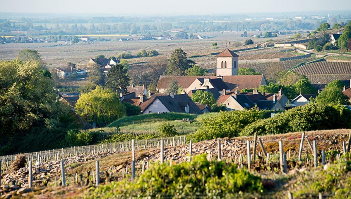 Le Richebourg - Charmant T2 Cosy, Tout Confort Gevrey-Chambertin Exteriér fotografie